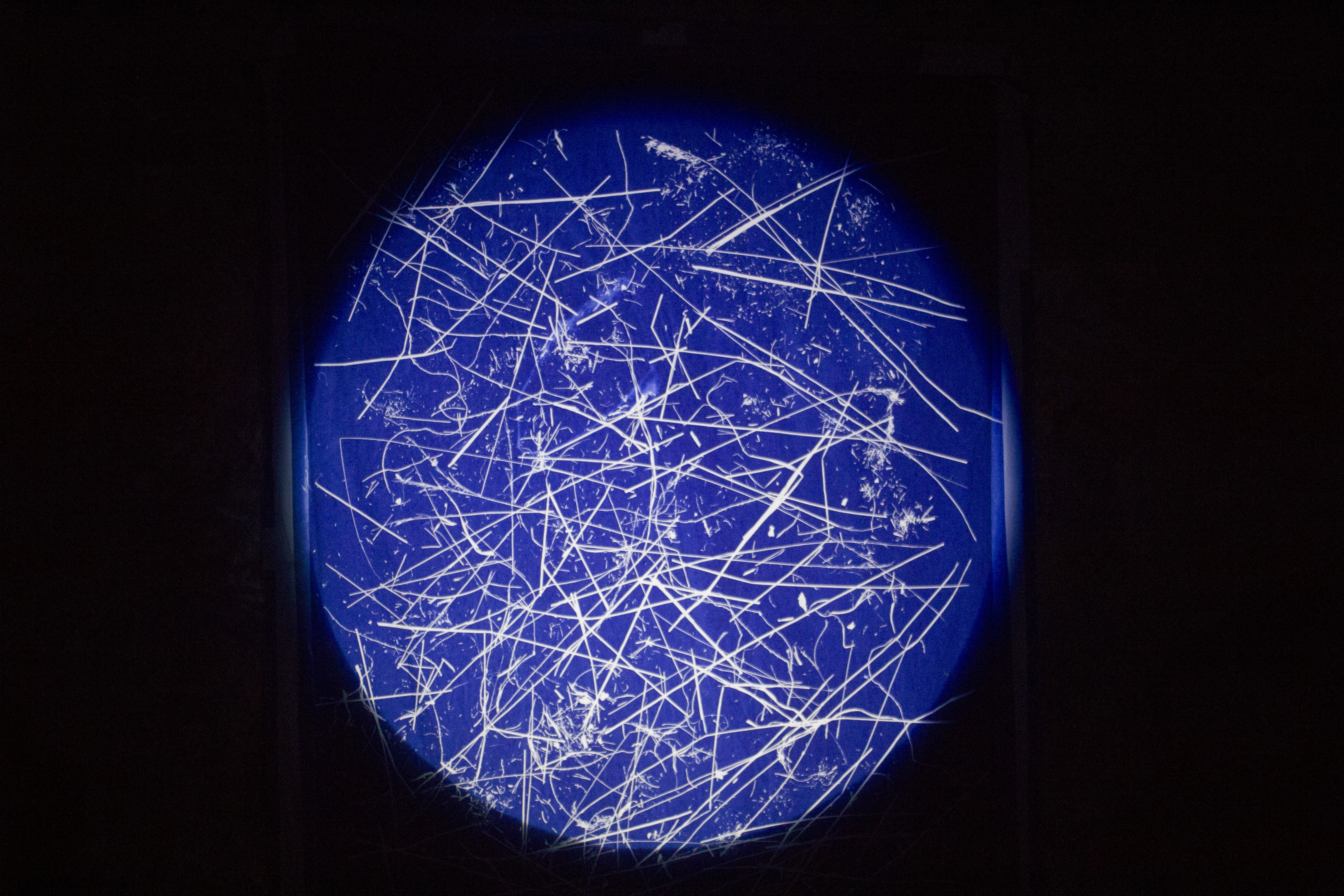 Untitled, installation, light spot, cyanotype; Cellar Gallery Cracow, 2018