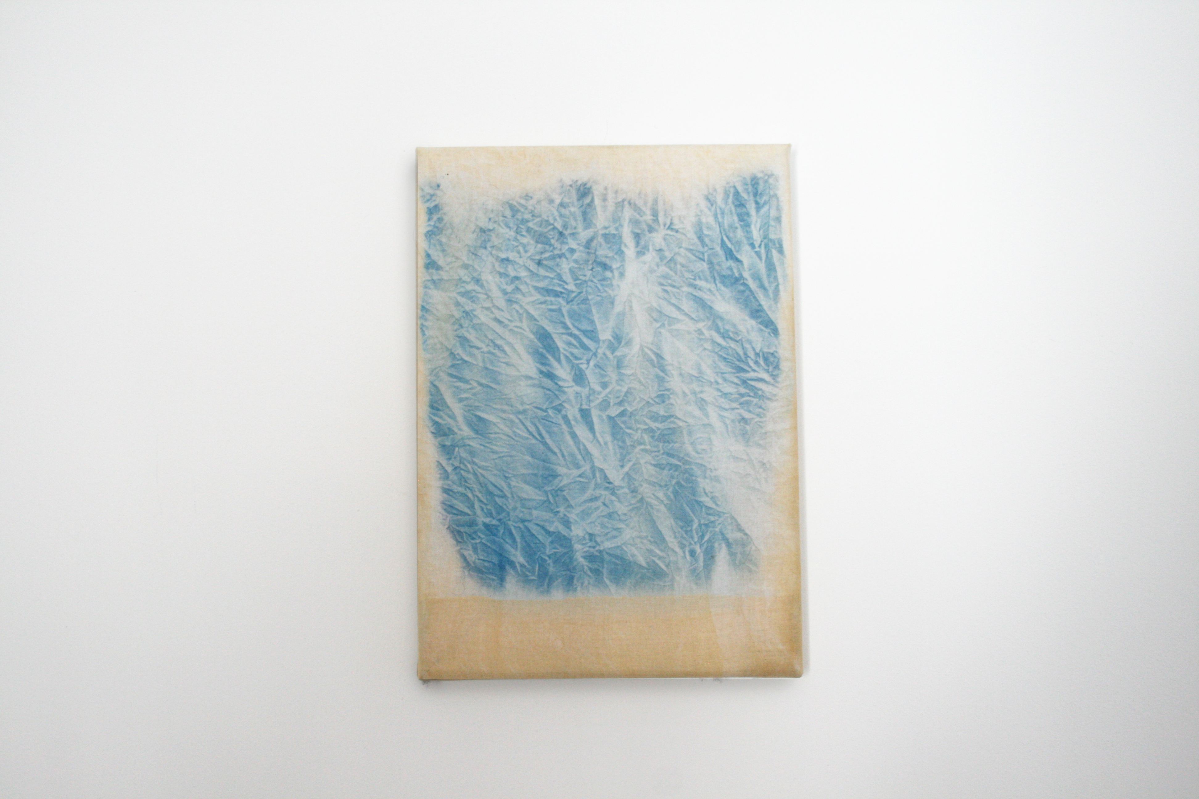 320s, cyanotype, textil, 25 x 35 cm, 2018